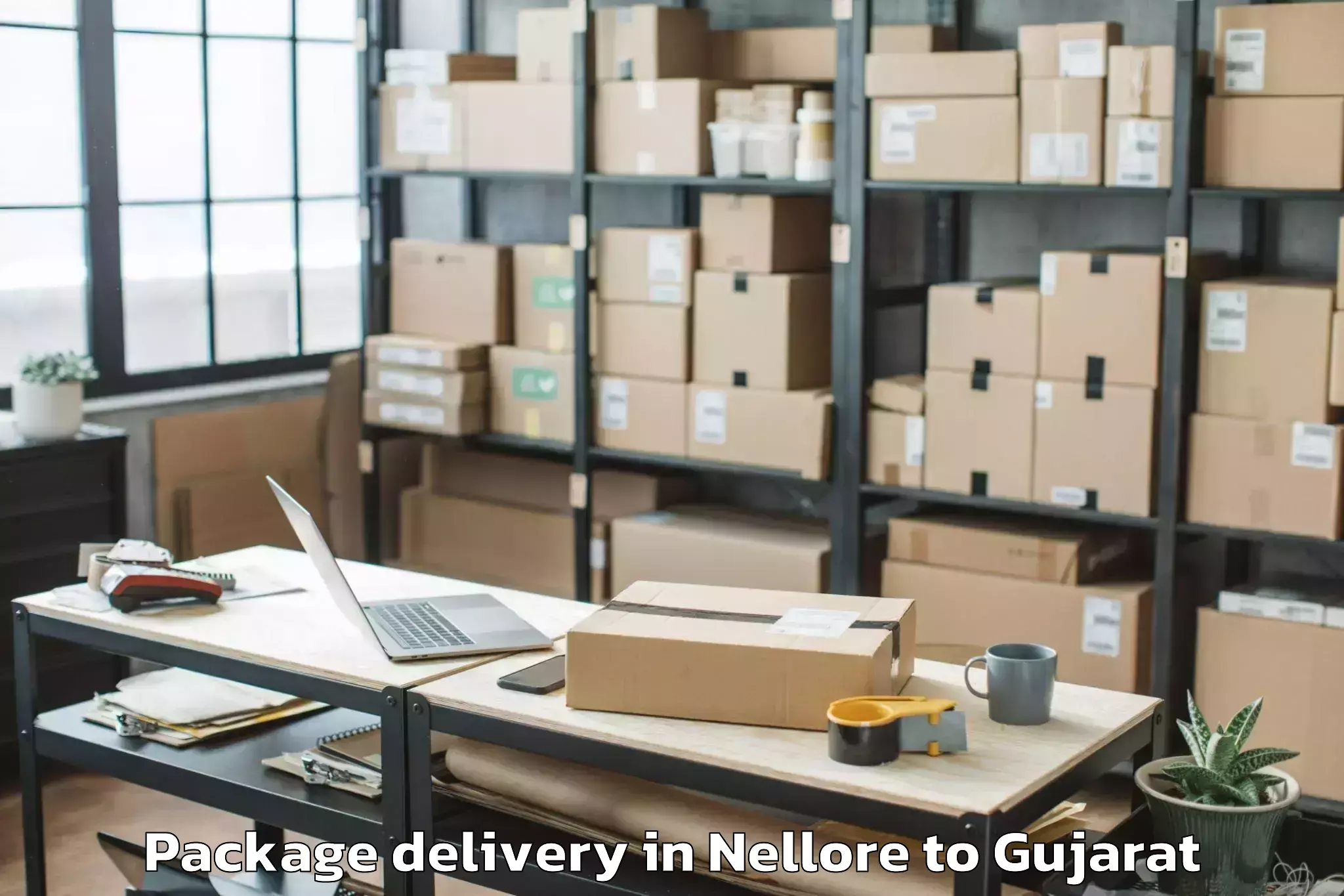 Book Nellore to Paliyad Package Delivery Online